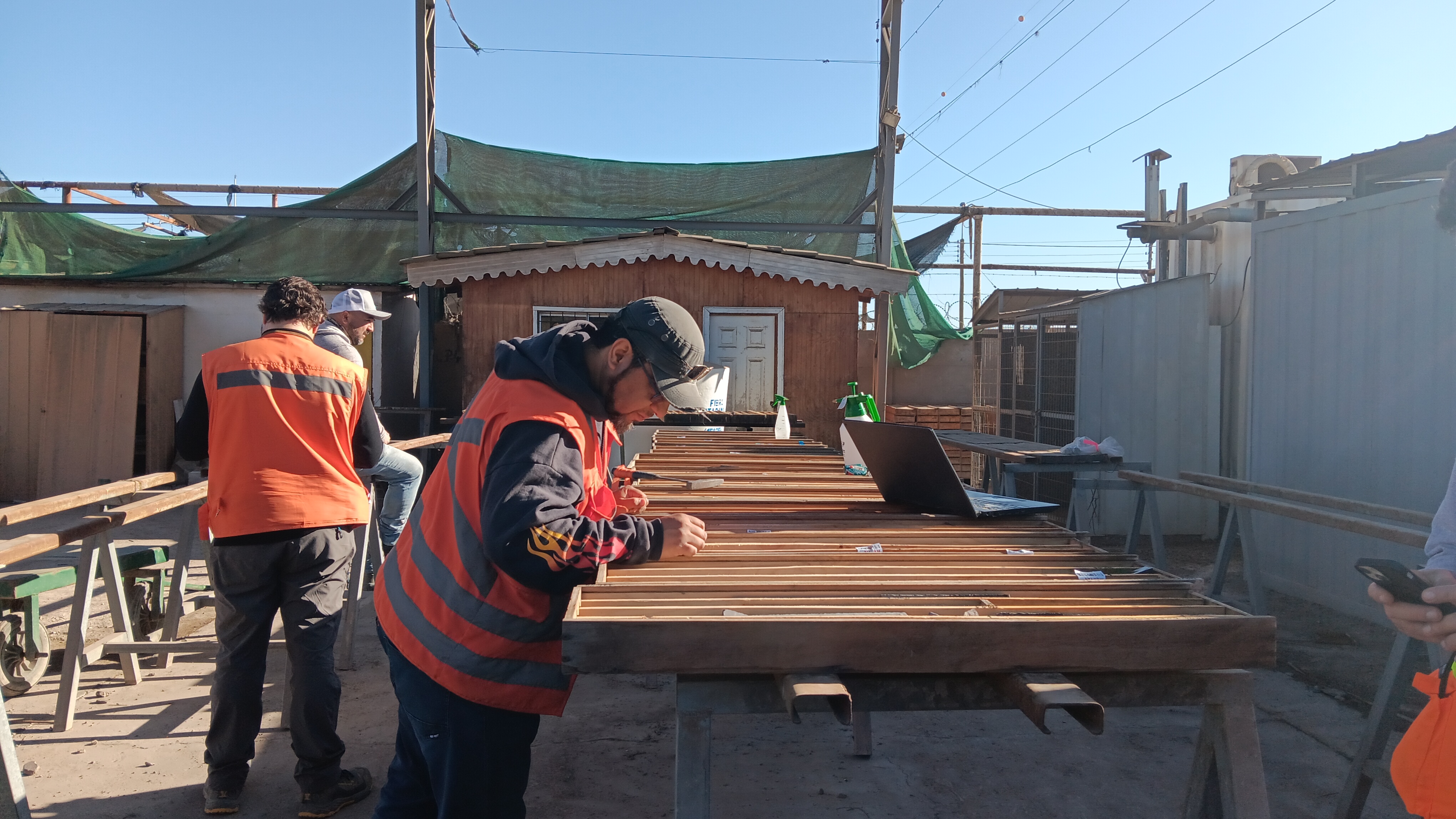 Super Copper geologists logging core samples in Chile
